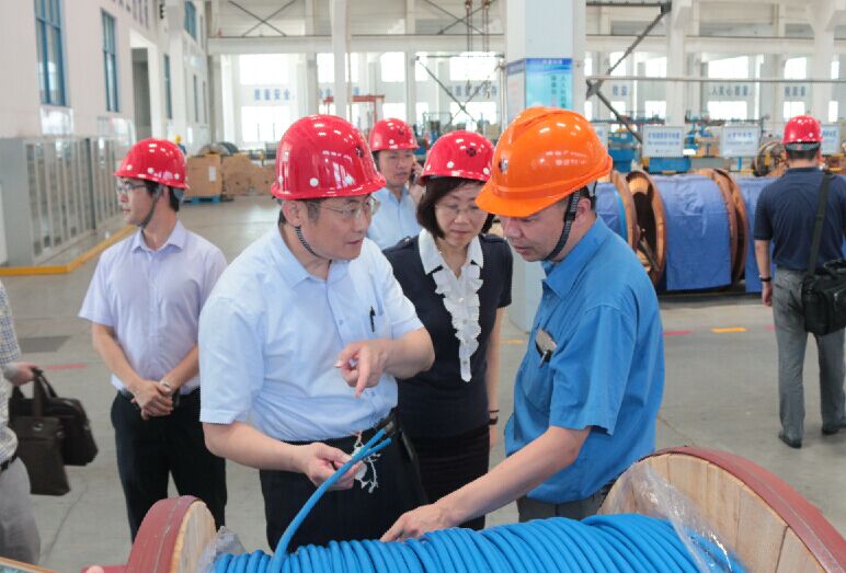 2016年7月22日，瀘州市委常委、副市長王建翔一行來上上電纜參觀考察