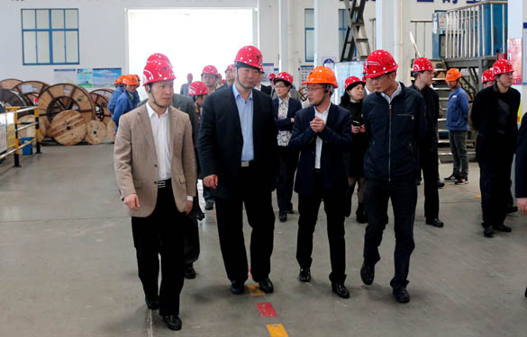 常州市副市長(zhǎng)李小平一行來(lái)上上電纜考察