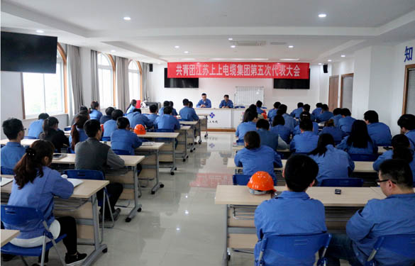 2016年4月20日，共青團江蘇上上電纜集團第五次代表大會召開