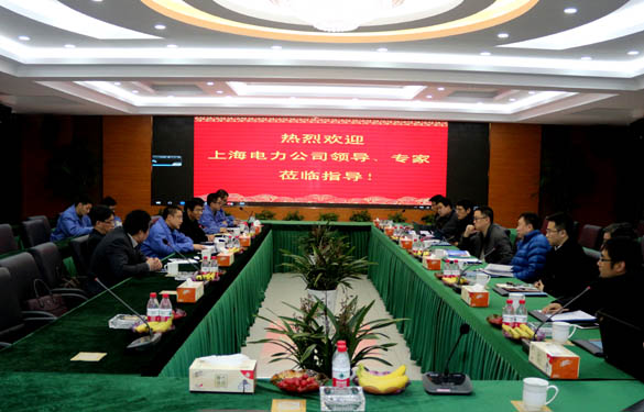 上海電力公司、上纜所領(lǐng)導(dǎo)、專家一行來(lái)上上電纜交流考察