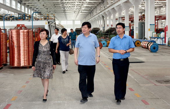 常州市新北區(qū)人大領導一行來上上集團調研