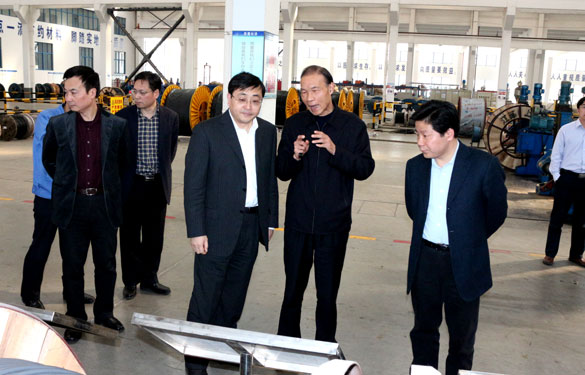 常州市委副書記、市政府黨組書記費高云來上上集團調研