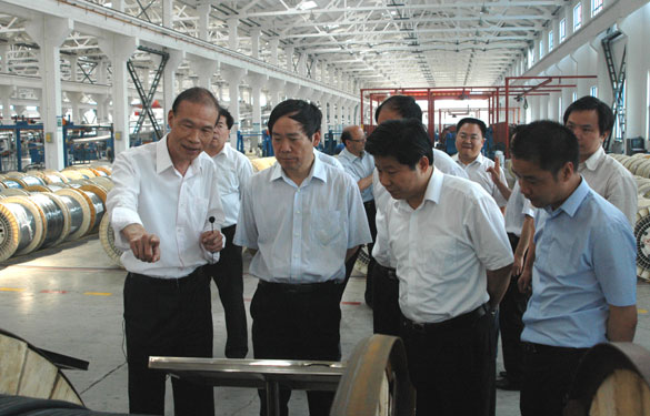 江蘇省省長(zhǎng)助理、省科技廳廳長(zhǎng)徐南平來(lái)上上集團(tuán)調(diào)研