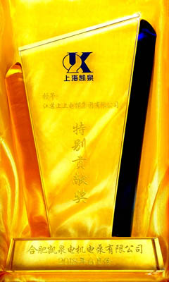 用品質(zhì)說話 ——上上電纜再獲供應(yīng)商“特別貢獻(xiàn)獎(jiǎng)”